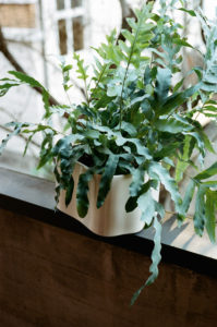 Dieser aus Keramik gefertigte Blumentopf zeigt eine geschwungene, organische Form ohne Ecken und ist in drei verschiedenen Grössen erhältlich.