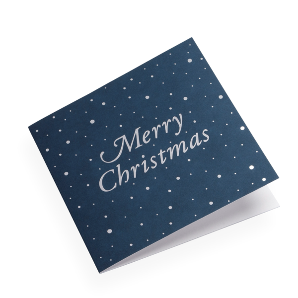 Eine Weihnachtskarte aus 100% Baumwollpapier von Bookbinders Design, bestehend aus Blättern und Beeren, die auf den Umschlag gedruckt sind.