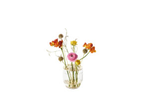 Die Vase hebt jede jeder einzelnen Blume hervor, vom Stiel bis zur Blütenkrone und ist in rostfreien Stahl oder in Messing erhältlich.