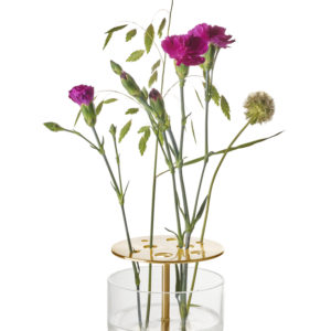 Die Vase hebt jede jeder einzelnen Blume hervor, vom Stiel bis zur Blütenkrone und ist in rostfreien Stahl oder in Messing erhältlich.