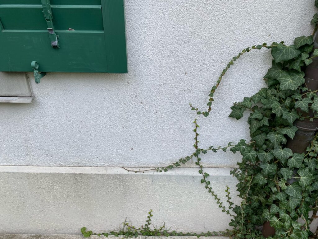 UNIKI – Fassadensanierung Schulhaus in Uster